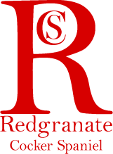 Copyright Redgranate 2022